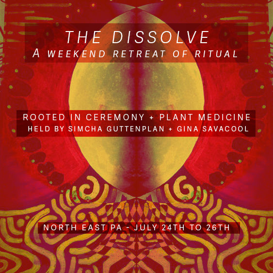 The Dissolve