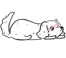 wednesday sleeping.png