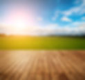 field-colorful-grass-outdoor-fresh.jpg