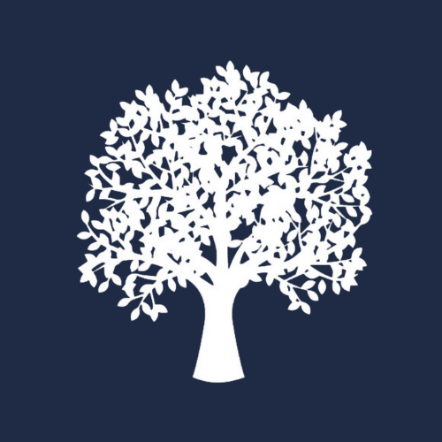 Tree Service Amazon Tree Service Raleigh