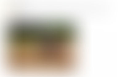 Foca no Jornalismo aborda agricultura familiar