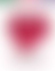 MARY KAY RELEASES 2025 SUSTAINABILITY REPORT, REAFFIRMS GLOBAL IMPACT GOALS