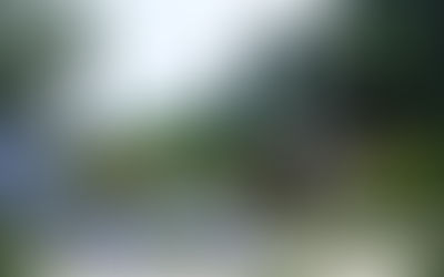 GUIZHOU CHARTS GREEN GROWTH PATH WITH STRONG ENVIRONMENTAL, INDUSTRIAL GAINS