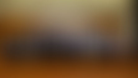 SOCIALIZATION DINNER FOR AMBASSADORS OF APO MEMBERS AND STEERING COMMITTEE ON THE APO VISION 2025 MONITORING AND EVALUATION: PAUSE-AND-REFLECT ACTIVITY CONSULTATION MEETING