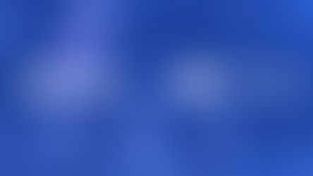 NATIVEX BECOMES A CERTIFIED PARTNER OF PETAL ADS, BOLSTERING ITS ONE-STOP ADVERTISING SOLUTION ...