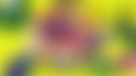 AJC LAUNCHES WEBSITE DEDICATED TO 50TH YEAR OF ASEAN-JAPAN FRIENDSHIP AND COOPERATION