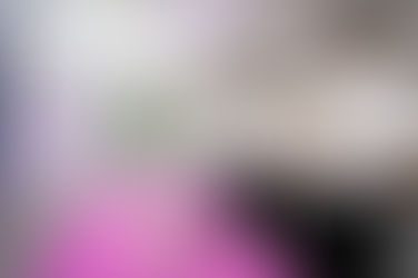 OPENING CEREMONY FOR NTHU'S CENTER FOR DISSECTION EDUCATION AND RESEARCH HELD