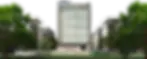 Montessa.webp