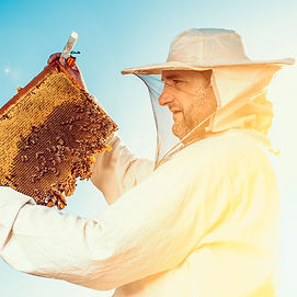 A beekeeper looking at honey straight from the hive as he prepares it for Bulk Honey Sales.