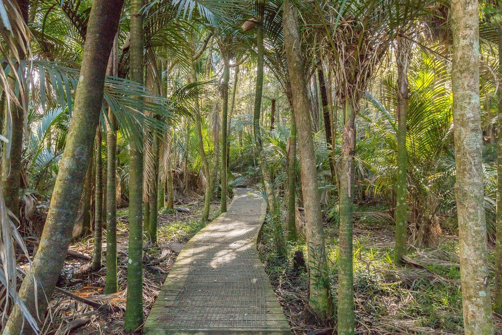 Out & About Kensington Park Auckland