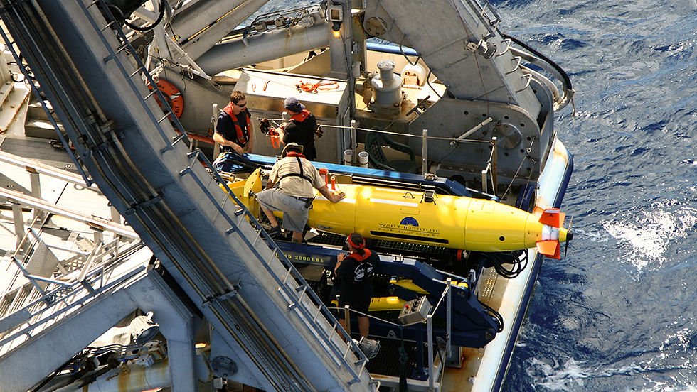 Amelia 2009.jpg