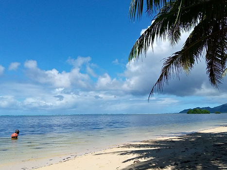 IMG_20201116_131310_100.jpg
