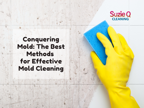 Conquering Mold: The Best Methods for Effective Mold Cleaning