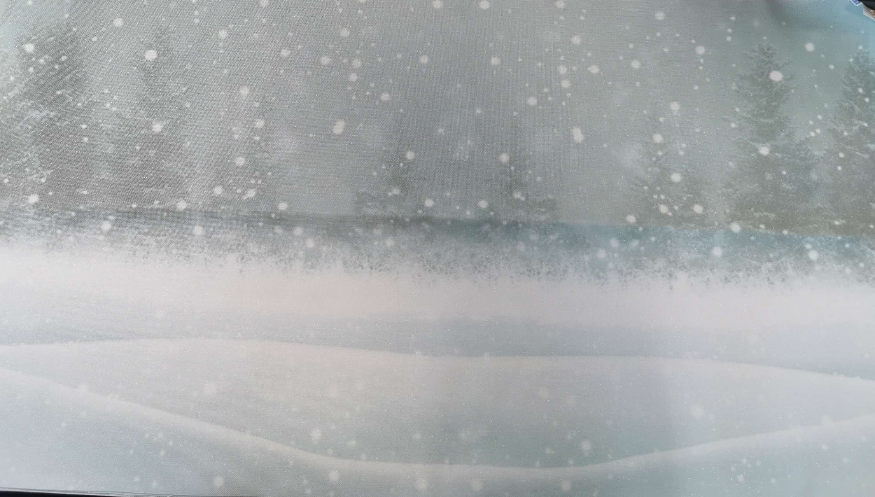 Aida / Evenweave - SPARKLE Frosty Forest (printed)