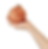 cebula.png