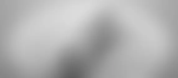 Enterobacteriaceae em Alimentos Prontos para Consumo: Riscos e Regulamentações em Produtos Cárneos, Saladas e Laticínios