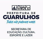 secretaria-da-educacao-guarulhos-standard-scale-6_00x-gigapixel_edited.jpg