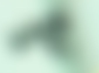 "El blog es el futuro del Periodismo Digital"