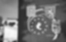 WNI_header_zw.jpg