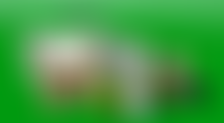 VR虛擬實境 、計算思維教育與資訊科技教育