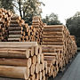 a-photo-of-a-high-quality-forest-of-wood_tX5ejZixRtOB10uRGKuXpA_QaevF3jwRa6yQ15DDs4fmQ.jpe
