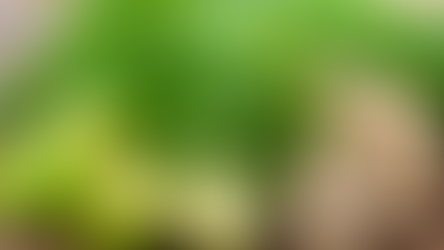 ginger and limes on a wooden background