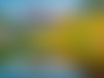 科州今秋賞葉時機提前,幹旱與低溫為主因