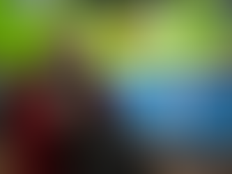 寵物寄養換康復機會 科州項目助主人走出困境