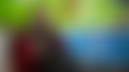 寵物寄養換康復機會 科州項目助主人走出困境