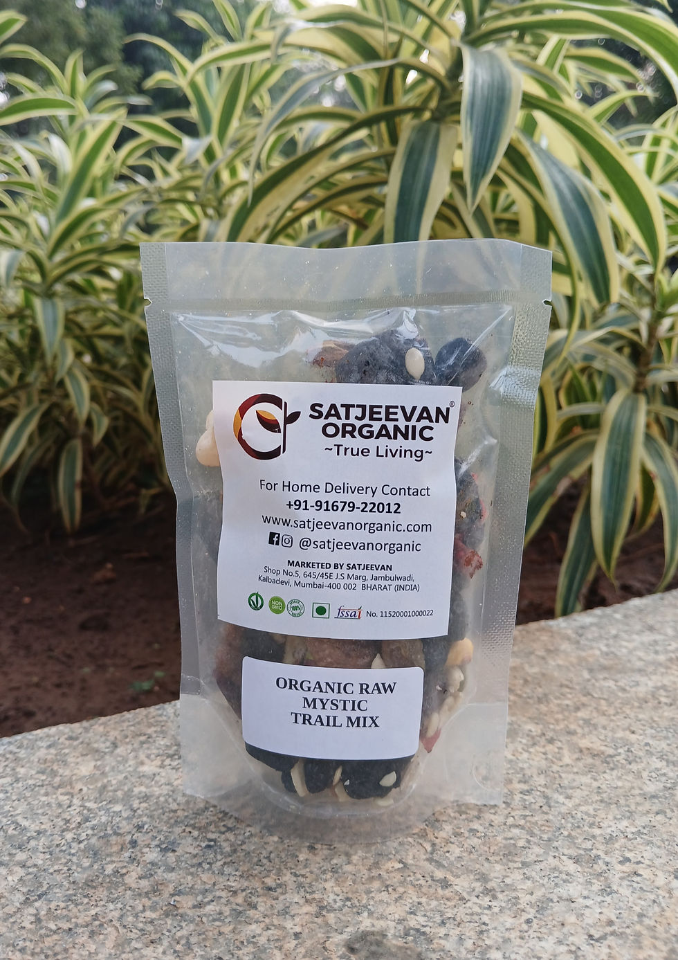 Satjeevan Organic Raw Mystic Trail Mix 100g