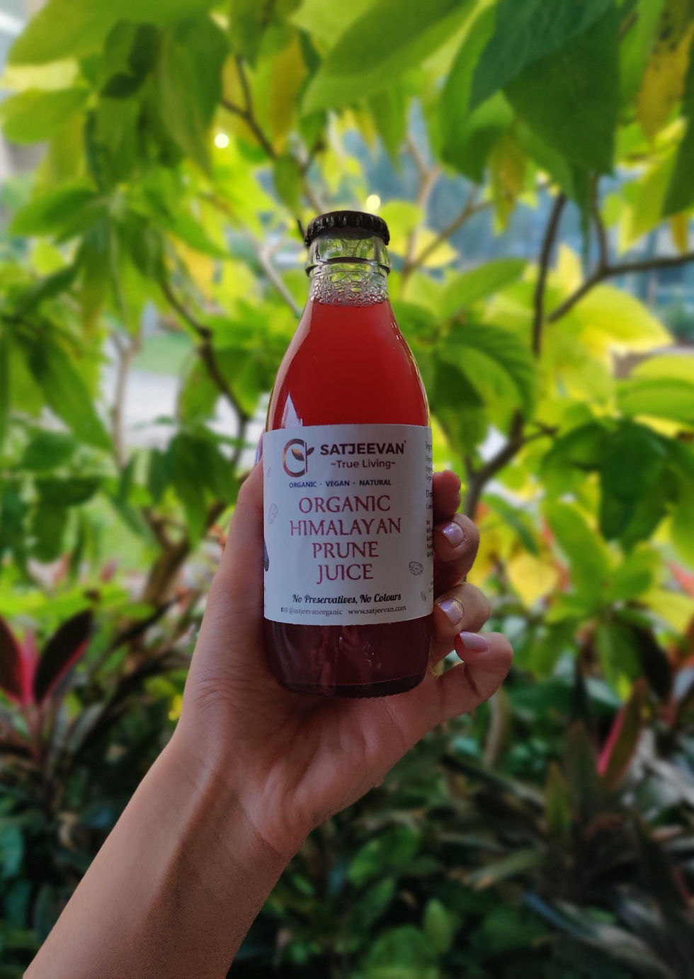 Satjeevan Organic Himalayan Prune Juice 200ml