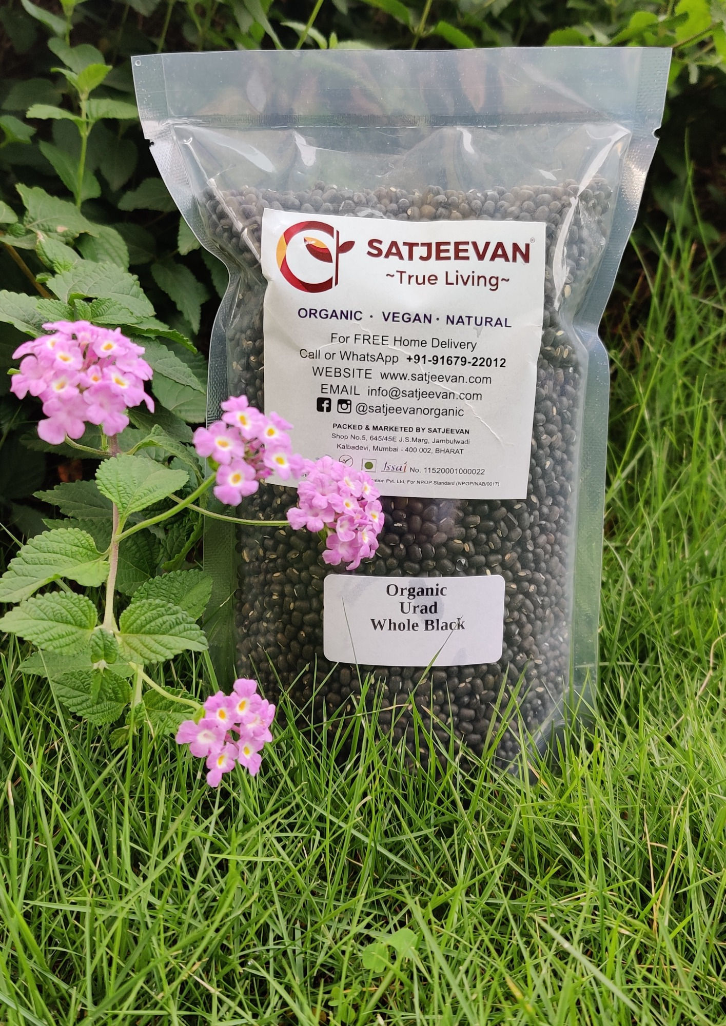 Organic Urad Whole Black 500g