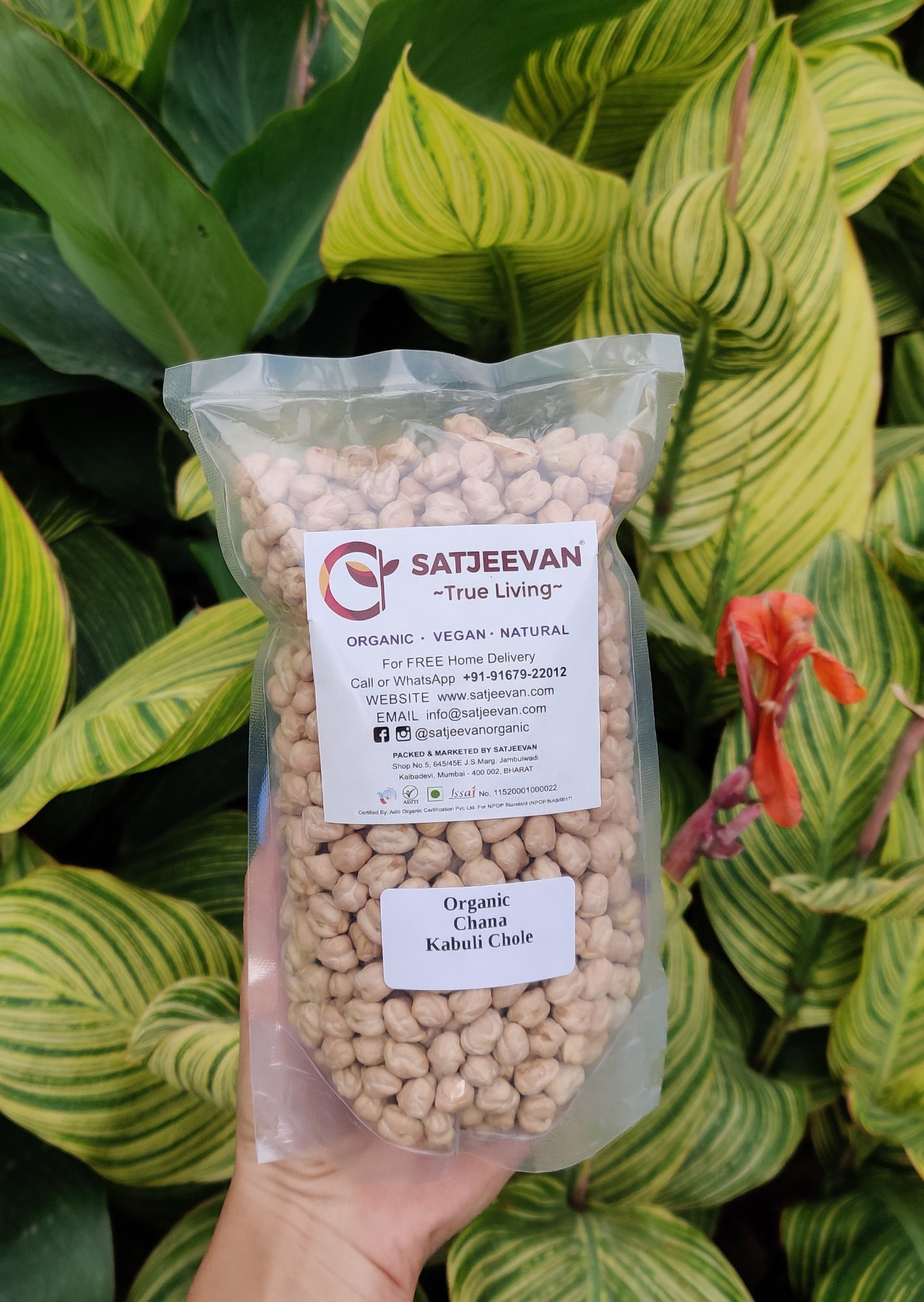 Organic Chana Kabuli Chole 1000g