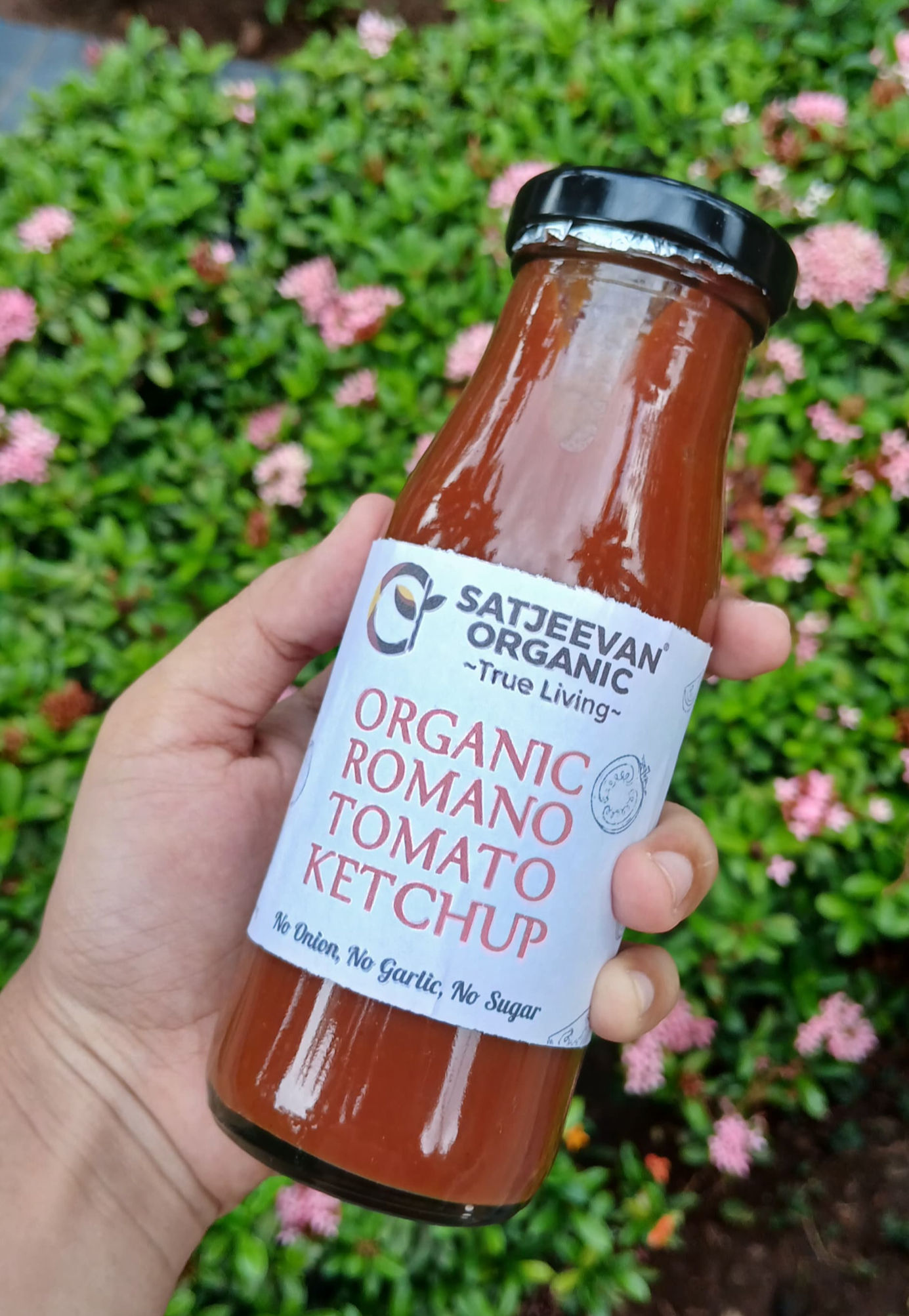 Satjeevan Organic Romano Tomato Ketchup 220g