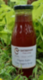 Thumbnail: Satjeevan Organic Kakvi Cane Jaggery Syrup 400g