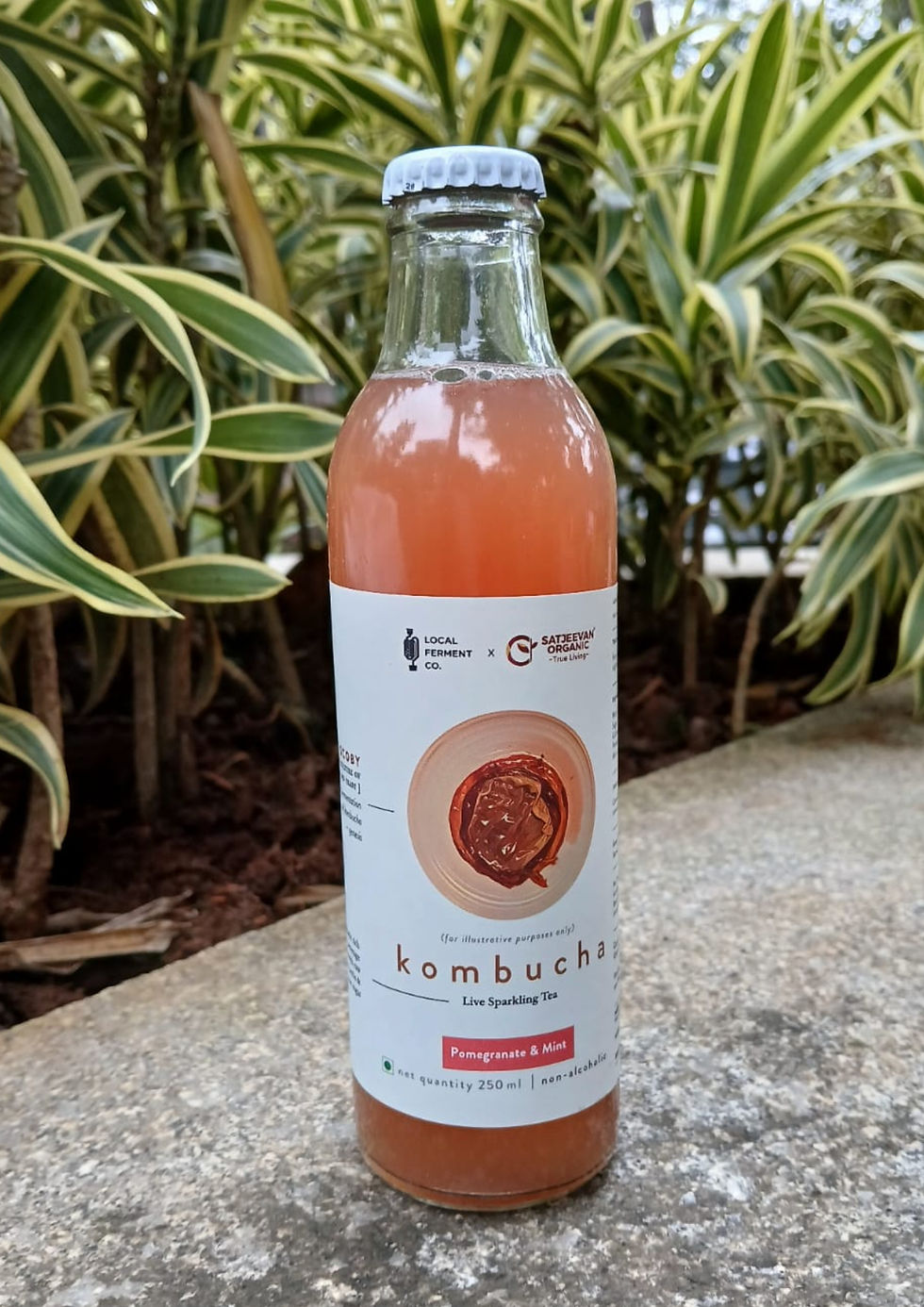 Satjeevan Organic Kombucha Pomegranate Mint 250ml