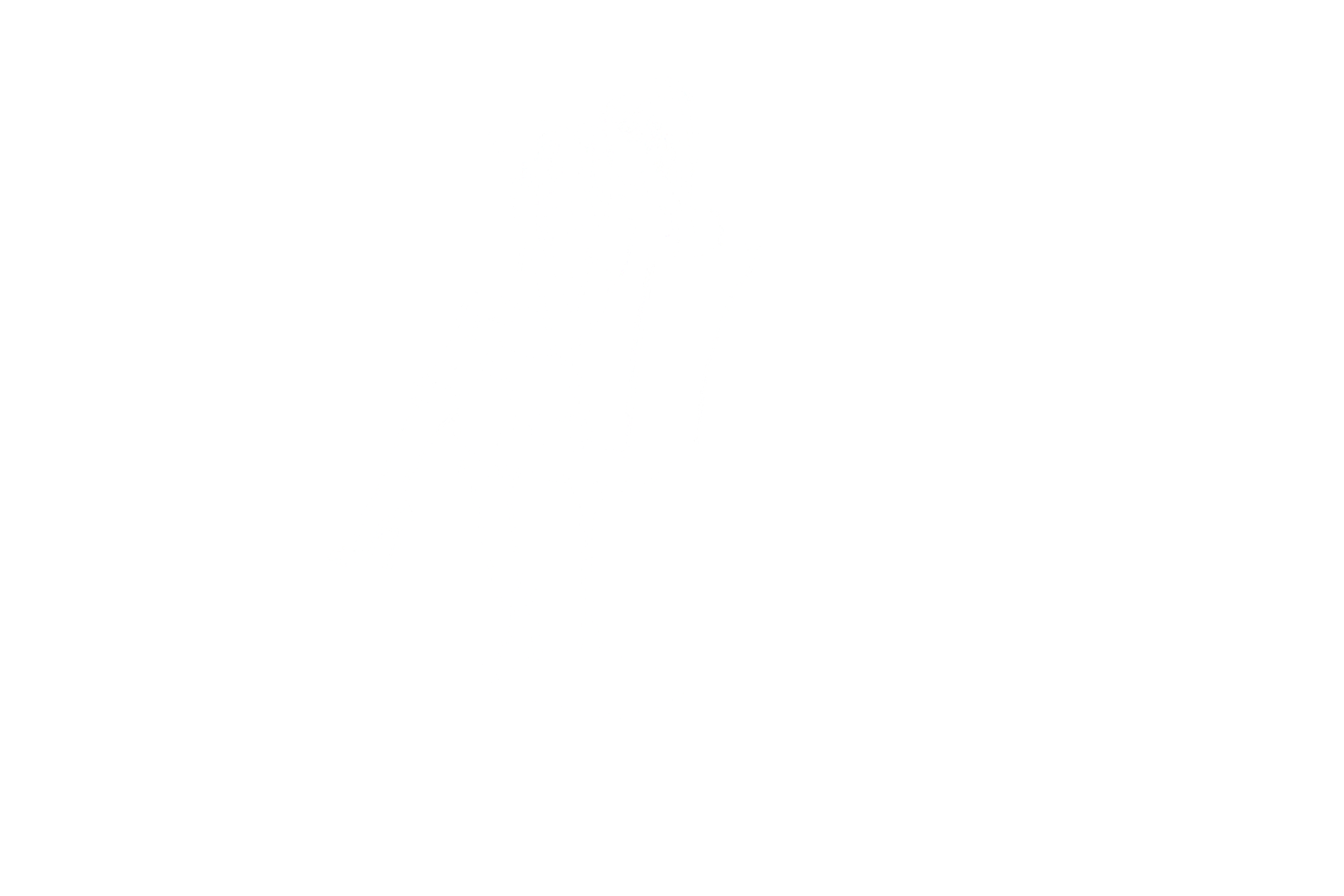 Ilustraciones para Facunda