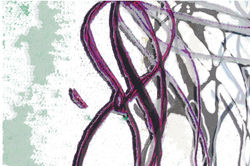 Col BOOK NLM Ed PDF 0120.jpg