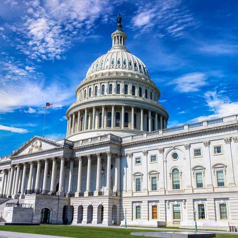 The Role of Training Programs in Cultivating Civility and Professionalism in Government