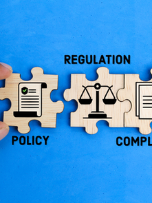 Learning in the Shadow of Regulation: Why Policy Drives Innovation