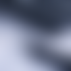 How to Prepare for SEC and FINRA Audits Using Digital Tools