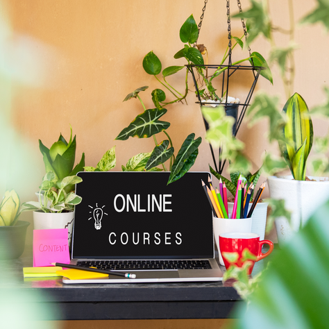 How to Build Online Courses in an LMS