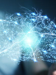 The Neuroscience Behind eLearning: How the Brain Responds to Digital Learning