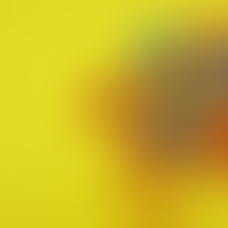 The Science of Retention: Cognitive Strategies in eLearning Design