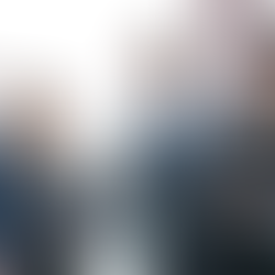 The Economic Impact of Professional Associations on Their Industries