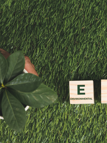 How to Design an Effective ESG Training Program for Your Organization