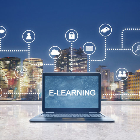 Tailoring Learning Experiences: How LMS Tenant Customization Drives Effective eLearning