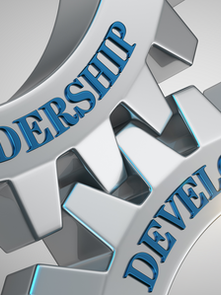 The Case for White-Label Leadership Development Platforms
