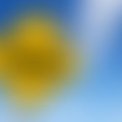 Change Management Training Course