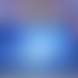 Converting Instructor-Led Leadership Training into Online Modules